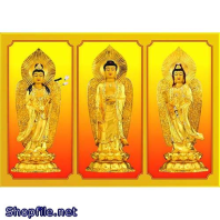 Phật Giáo